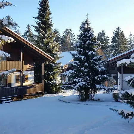 Im Waldferiendorf *